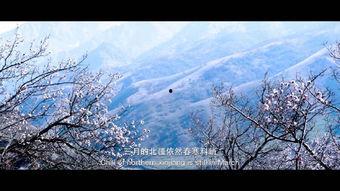 杏花影院,光影交织，演绎生活百态