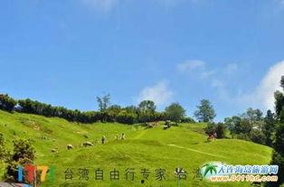 青青草原电影院,光影交织的梦幻之旅